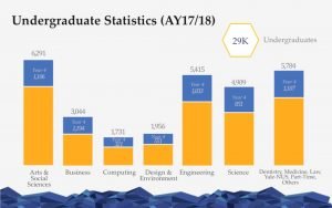 シンガポール国立大学の各学部の内訳